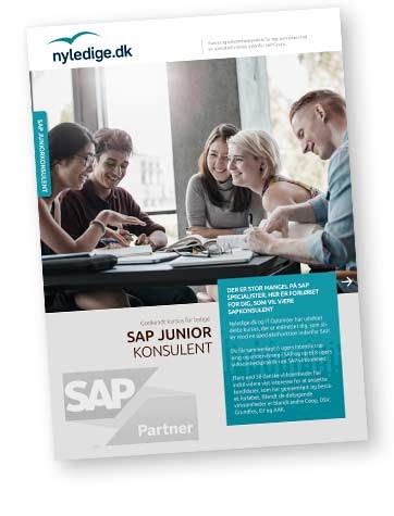 Terapi melodi defile Bliv SAP-certificeret juniorkonsulent: kursus, SAP-certificering og  virksomhedspraktik for ledige